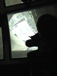 View from the Glass Ceiling atop the CN Tower