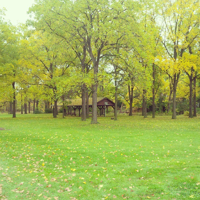 Bridgeview Conservation Area, Petrolia, ON