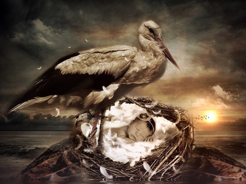 Legend of the Shipwrecked Baby, Seburn Family History, Niagara History