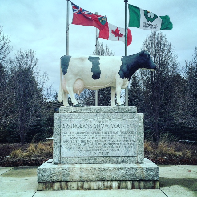 Woodstock, Snow Countess, Dairy Capital
